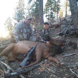 Elk Hunting USA