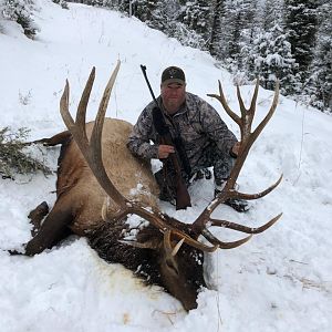 Hunting Elk in USA