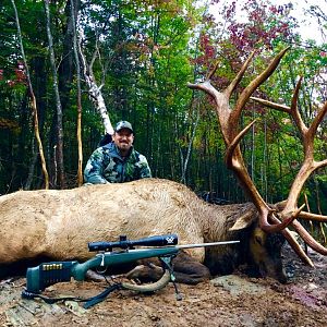 Elk Hunt USA