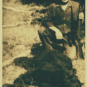 Black Bear Hunt USA