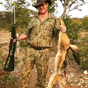 Hunt Jackal in South Africa