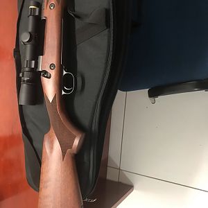 416 Remington Rifle