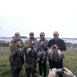 Duck Hunting Argentina