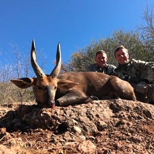 South Africa Bow Hunt Cape Bushbuck
