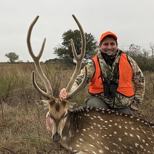 Hunting Axis Deer Texas USA