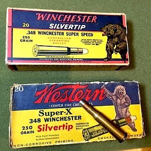 348 Winchester Silvertips