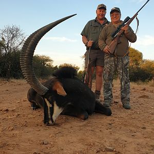 South Africa Hunt Sable Antelope