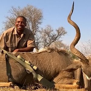 South Africa Hunt Kudu