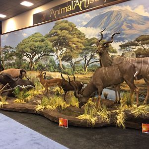 Animal Artistry at Safari Club Convention 2020