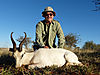 1l-white-springbok.jpg