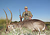 2013_DonCaldwell_Waterbuck.jpg