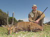 2013_NeilHorn_Bushbuck.jpg