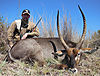 2013_NeilHorn_Waterbuck.jpg