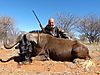 28-black-wildebeest-martin-lafemina.jpg