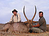 30-inch-waterbuck.jpg