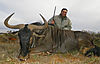 32a-blue-wildebeest-anthony-tiberini.jpg