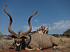 38-marjorie-kudu.jpg