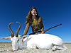 39a-white-springbok-karla-sada.jpg