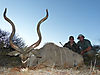 4-a-fantastic-old-kudu-bull-with-worn-down-leather-like-horns-taken-by-carlos-jr.jpg