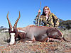 41a-common-blesbuck-deavon-hinebauch.jpg