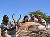 46-tracker-paul-lorena-francisco-tomas-copper-springbok.jpeg