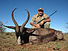 47a-black-springbok-hector.jpg