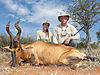 5-linsey-and-murray-red-hartebeest.jpg