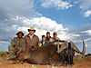 6-tracker-strauss-murray-stewart-yvan-greg-black-wildebeest.jpg