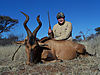 86-red-hartebeest-stephanie-villaenuava.jpg