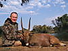 BUSHBUCK_5.jpg