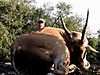 Billc_CApwell_-_Eland_9_.jpg