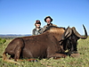 Black_Wildebeest8.JPG