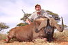 Black_Wildebeest_Wayne_Melluzzo.JPG