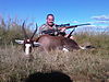 Blesbok-20110422.jpg