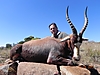 Blesbok_1.jpg