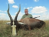 Blesbok_7.jpg