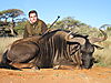 Blue_Wildebeest_Frederico_.JPG