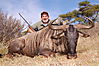 Blue_Wildebeest_Wayne_Melluzzo_.JPG