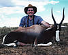 Bontebok.jpg