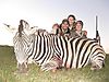 Burchell_Zebra_hunted_with_Andrew_Harvey_Safaris.JPG