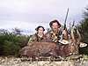 Bushbuck_score.jpg