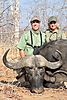 Cape_Buffalo_02.jpg