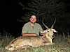 Common_Reedbuck_1.JPG