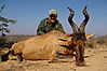 David_Keith_Hartebeest-2010_001.jpg