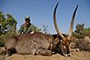 David_Keith_Waterbuck-2010_018.jpg