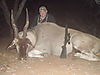 Eland-Limpopo-SA.JPG