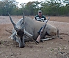 Eland29.jpg