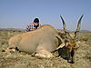 Eland_-_John_Kemhadjian.jpg