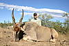 Eland_-_May_2009.jpg