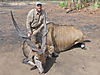 Eland_10_1.JPG